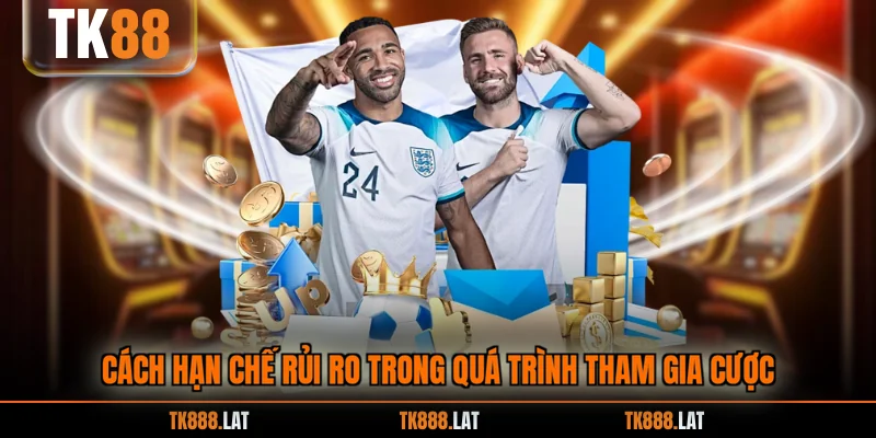Cách hạn chế rủi ro trong quá trình tham gia cược