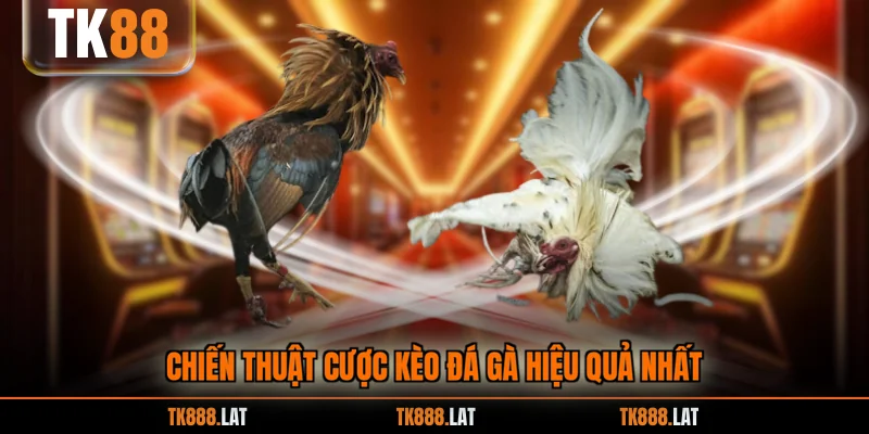 Chiến thuật cược kèo đá gà hiệu quả nhất