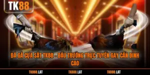Đá Gà Cựa Sắt TK88 - Đấu Trường Trực Tuyến Gay Cấn Đỉnh Cao