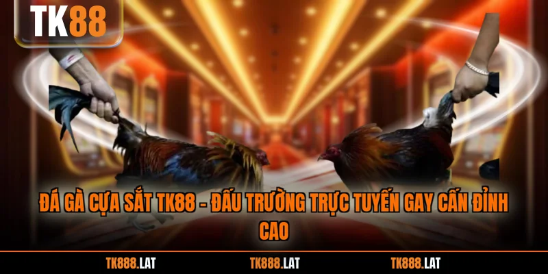 Đá Gà Cựa Sắt TK88 - Đấu Trường Trực Tuyến Gay Cấn Đỉnh Cao