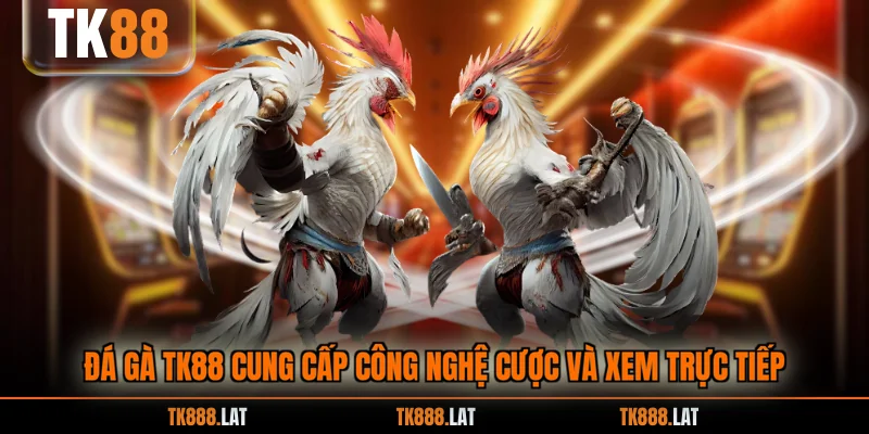 Đá gà TK88 cung cấp công nghệ cược và xem trực tiếp