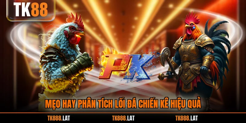 Mẹo hay phân tích lối đá chiến kê hiệu quả