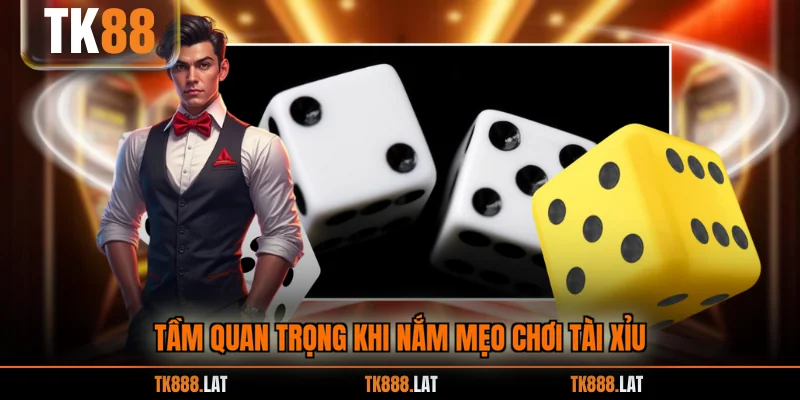 Tầm quan trọng khi nắm mẹo chơi tài xỉu